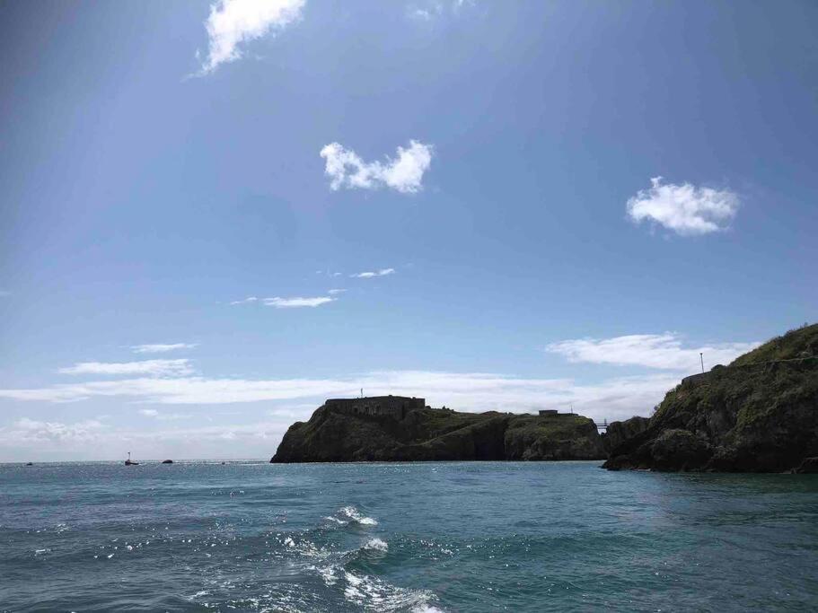 Lobster Cottage - Stylish 3 Bedroom Cottage In Heart Of Tenby Town, Pembrokeshire المظهر الخارجي الصورة