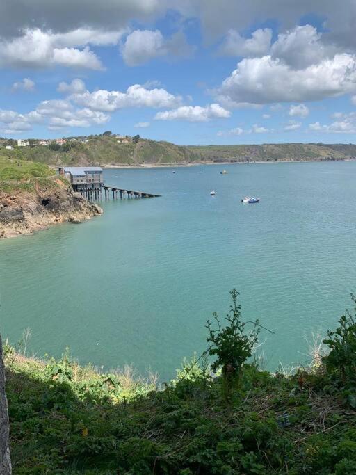 Lobster Cottage - Stylish 3 Bedroom Cottage In Heart Of Tenby Town, Pembrokeshire المظهر الخارجي الصورة